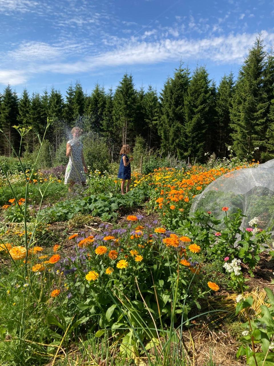 Escape To Paulssonpaleo Bed & Breakfast Simlangsdalen Bagian luar foto