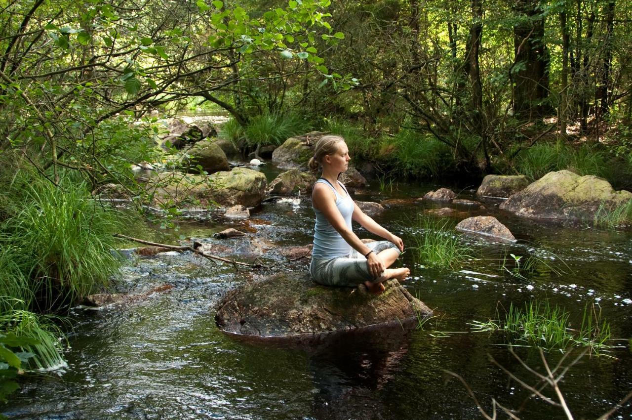 Escape To Paulssonpaleo Bed & Breakfast Simlangsdalen Bagian luar foto