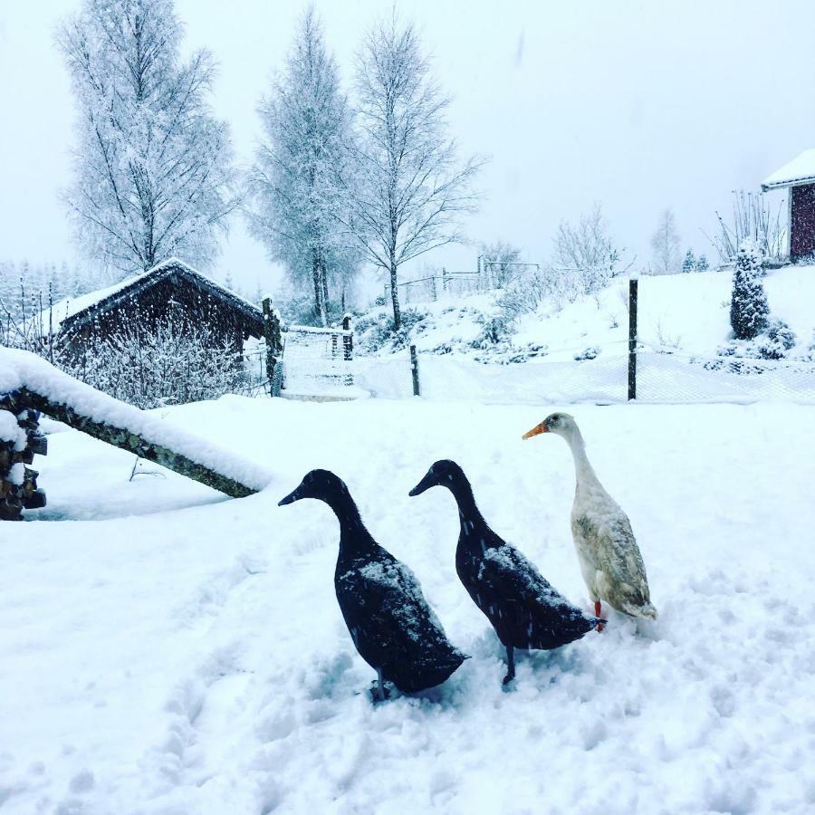 Escape To Paulssonpaleo Bed & Breakfast Simlangsdalen Bagian luar foto